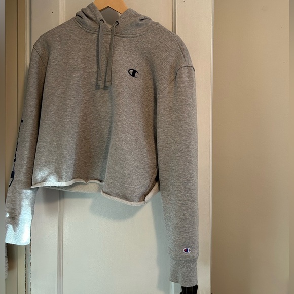 Grey Champion Hoodie - Picture 2 of 8